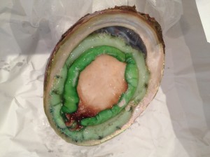 Alien abalone